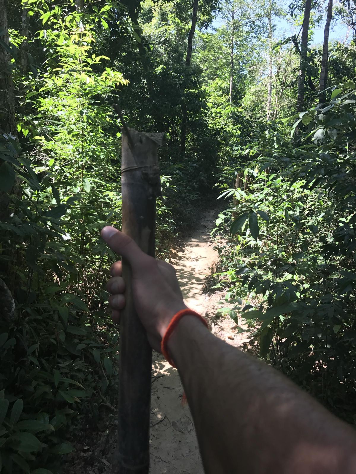 Trekking