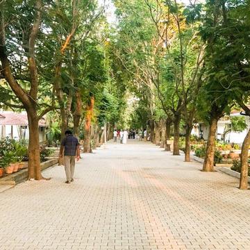 Photo from “Stealing Time for My Own Mind”