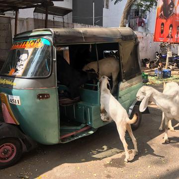Photo from “India 🇮🇳 Kanyakumari to Kashmir”