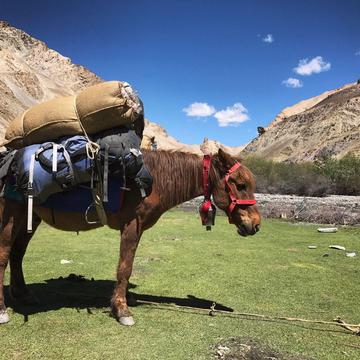 Photo from “India 🇮🇳 Kanyakumari to Kashmir”